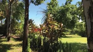 Sítio tranquilo perto da Praia de Guarajuba POND