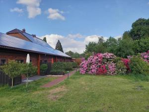 Hempen Fied Gästehaus - Apartment 2