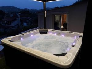 Piscine-Jacuzzi-Sauna -Videoprojecteur Perle Rare