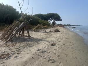 Appartements Appartement n 302 moriani plage : photos des chambres