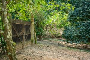 Saíra Recanto de Serra