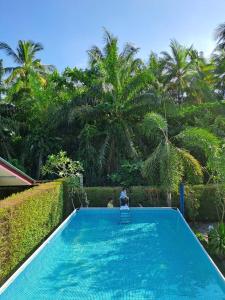 Amantra homestay & village