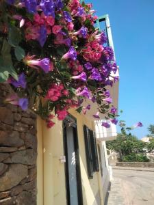 casetta sul porticciolo img23