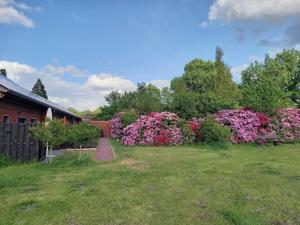 Hempen Fied Gästehaus - Apartment 3