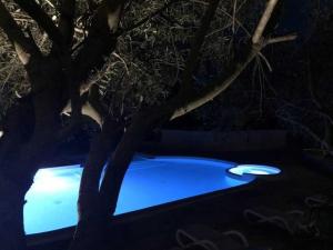 Campings Camping 3 etoiles - Piscine - ccbbh0a : photos des chambres