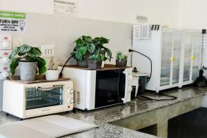 Canna Boutique Hostel