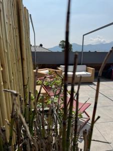 Urban Alpine Penthouse with Lake View