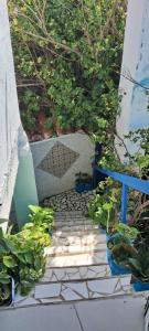 Vistamar Arco das Flores