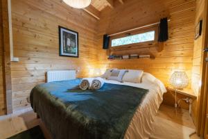 Maisons de vacances Le Chalet de Limbre : photos des chambres
