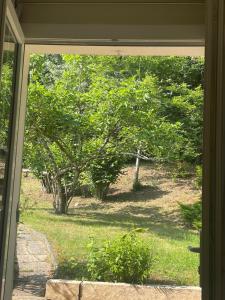 Maisons de vacances Au milieu des bois : Maison 1 Chambre