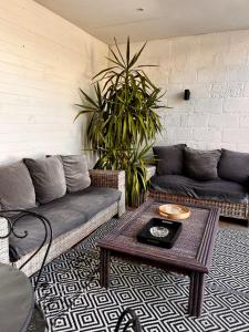 Appartements Le Quarante cinq -2 : photos des chambres