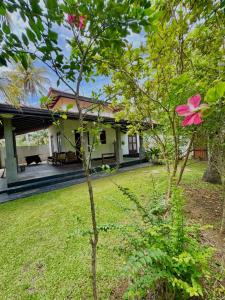 Harbor View Private Cottage Hikkaduwa