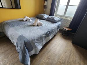 Appartements La Rose Des Vents : photos des chambres