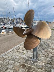 Appartements La Rose Des Vents : photos des chambres