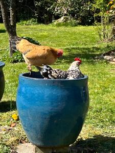 Chambre à la campagne