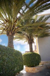 Luxurious private villa in Mahis
