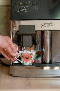 Căsuțele de oaspeți Margó Vendégházikók