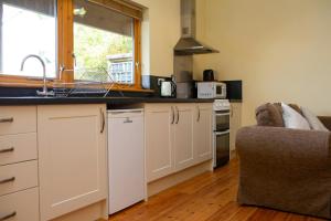 Robins Perch Eco Lodge Apartment Lampeter