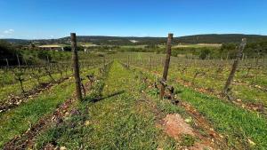Maisons de vacances Le Gite Grenache : photos des chambres