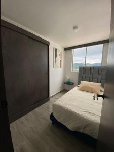 Modern APT Manizales