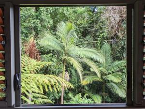 Planchonella Rainforest Pavilion