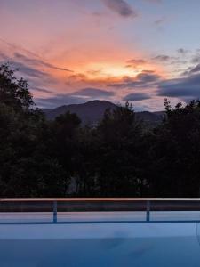 Planchonella Rainforest Pavilion
