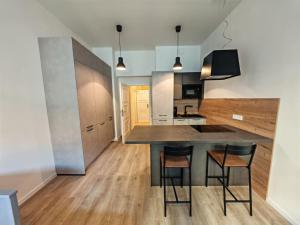 Quiet Studio in Hip Zizkov