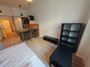 Quiet Studio in Hip Zizkov