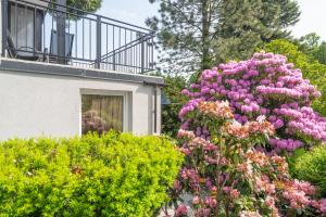 Karkonosky Apartamenty - Zacisze Azalia