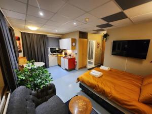 Base apartments ap 204 - Capital region of Reykjavík