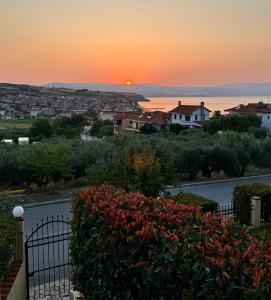 Despoina Meletiadou Nea Roda