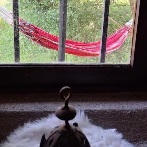 Chalets Mountain guest house : photos des chambres