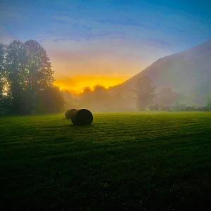 Chalets Mountain guest house : photos des chambres