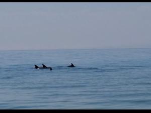 2 bedroom challet with private garden at Riviera beach resort Ras Sudr,Families only