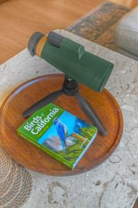 Serene Retreat with Hot Tub - Fire Pit - Deck