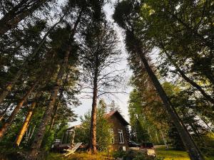 Whispering pines cabin