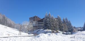 Appartements Confortable Studio de montagne avec loggia et jolie vue Les Rousses Le Flocon des Cimes Station de ski familiale Jura 39 : photos des chambres