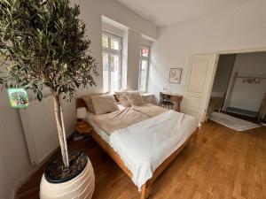 Cozy Altbau in Friedrichshain - Westwing Design