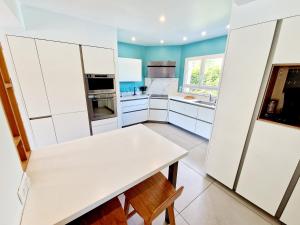 Grande villa familiale et pro près de Lyon 14 pers