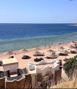 Sharm el Sheikh Domina Coral Bay Suite Acquamarine