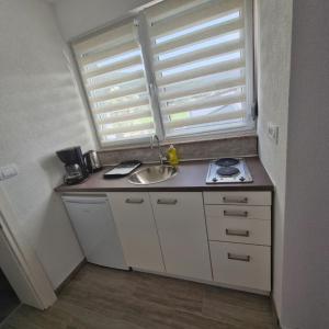 Villa Natasa near Plitvice for 15 persons