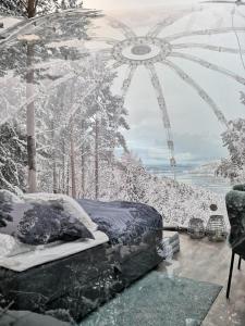Glassigloo med panoramautsikt - Nordlys og stjernehimmel - Fosen