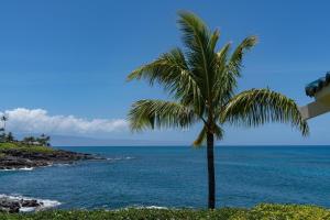 Spectacular Oceanfront Home - Honu Hale