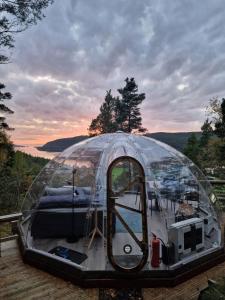 Glassigloo med panoramautsikt - Nordlys og stjernehimmel - Fosen