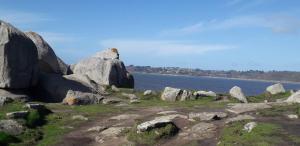 Maisons de vacances Charmante maison proche de la mer a Locquemeau : photos des chambres