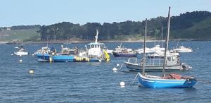Maisons de vacances Charmante maison proche de la mer a Locquemeau : photos des chambres