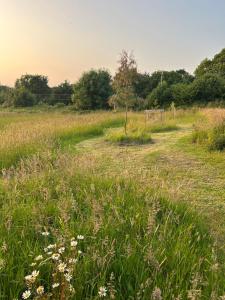 B&B / Chambres d'hotes Reve de Clarte : photos des chambres
