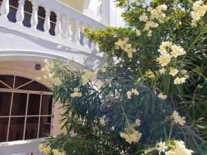 2-Bedroom Beach Apartment with Pool Costambar