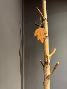 Esclusivo appartamento tra le Dolomiti