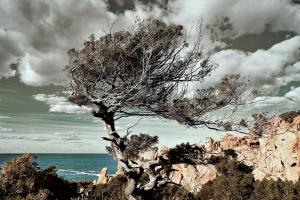 Sea View Villas Costa Paradiso by Sardinian Seaside Retreats